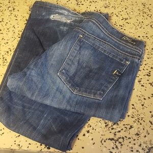 Citizens of humanity